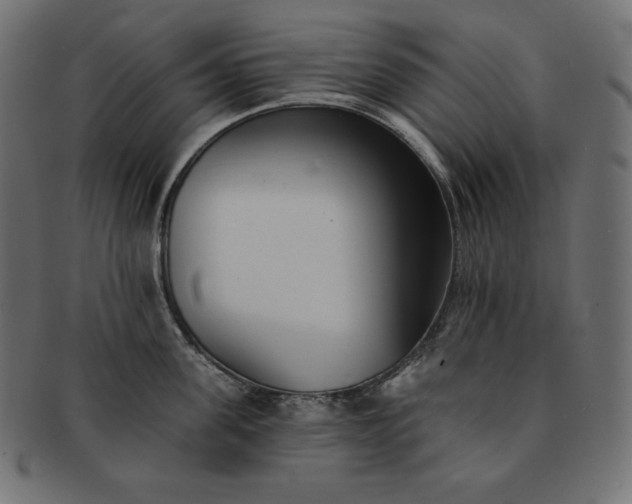 X0000091700955200709071346