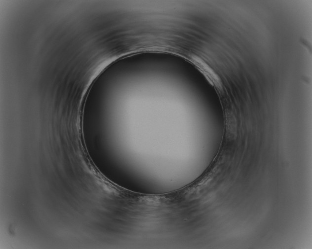 X0000091700956200709071346