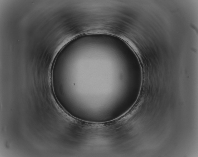 X0000091700957200709071346