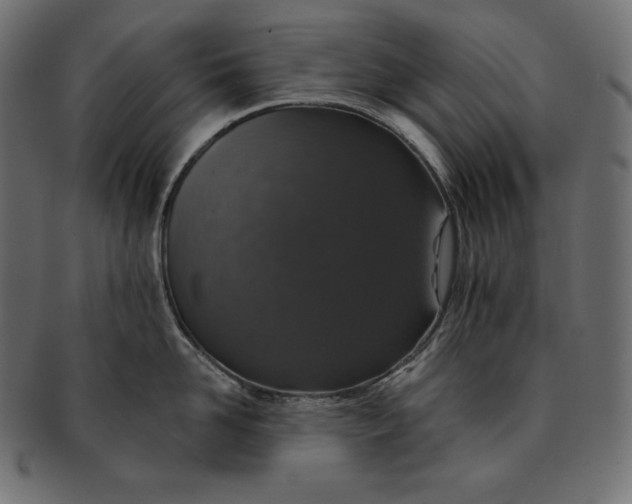 X0000091700958200709071346