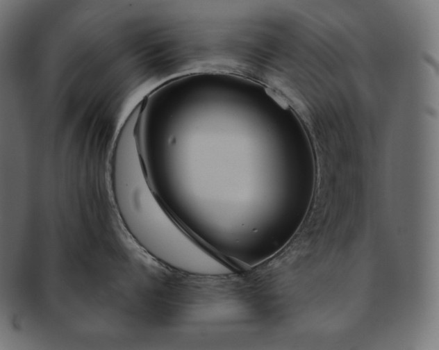 X0000091700960200709071346