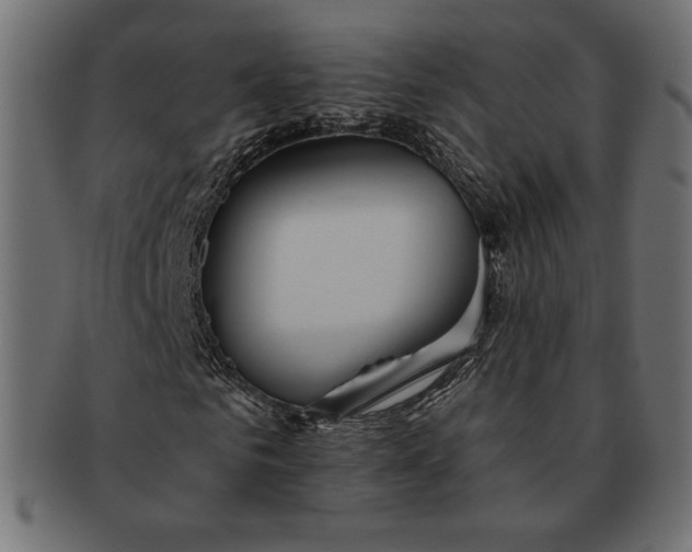 X0000091700961200709071345