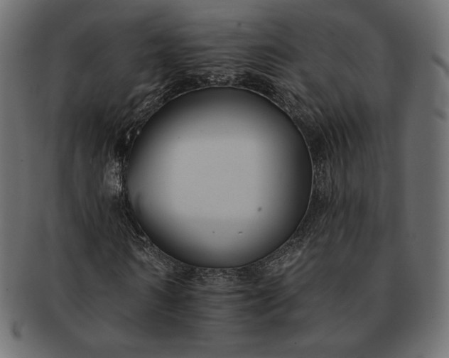 X0000091700962200709071345