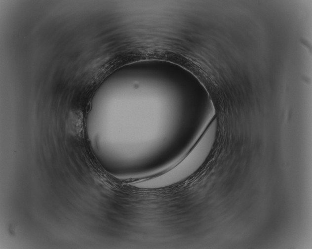 X0000091700963200709071345