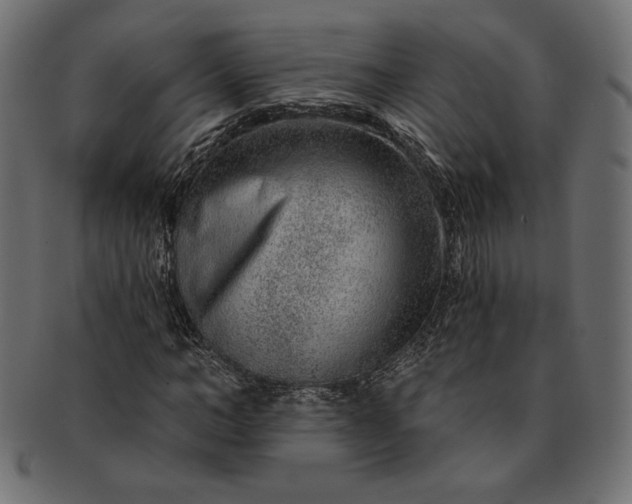 X0000091700966200709071345