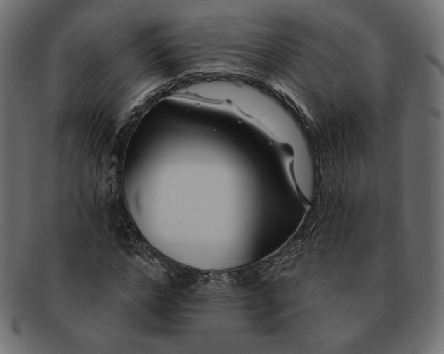 X0000091700968200709071345