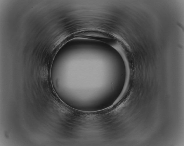 X0000091700969200709071345