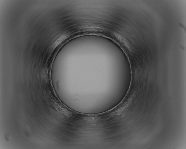 X0000091700970200709071345