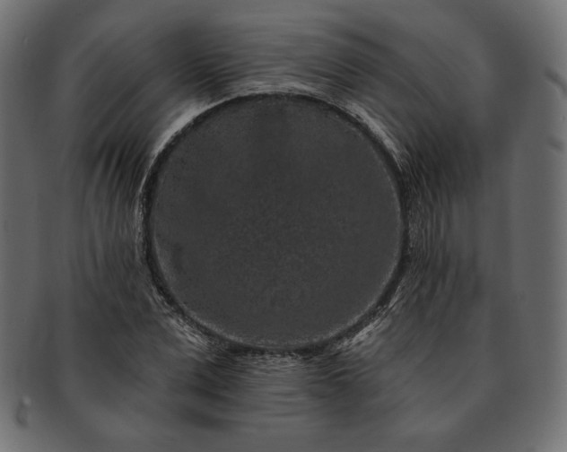 X0000091700975200709071345