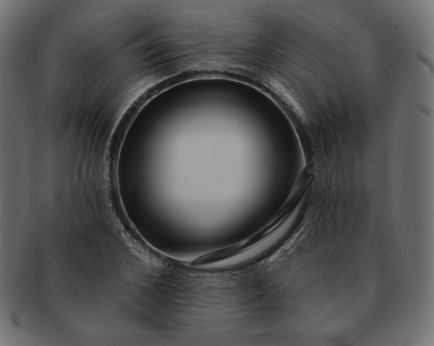 X0000091700976200709071345