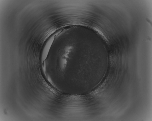 X0000091700977200709071345