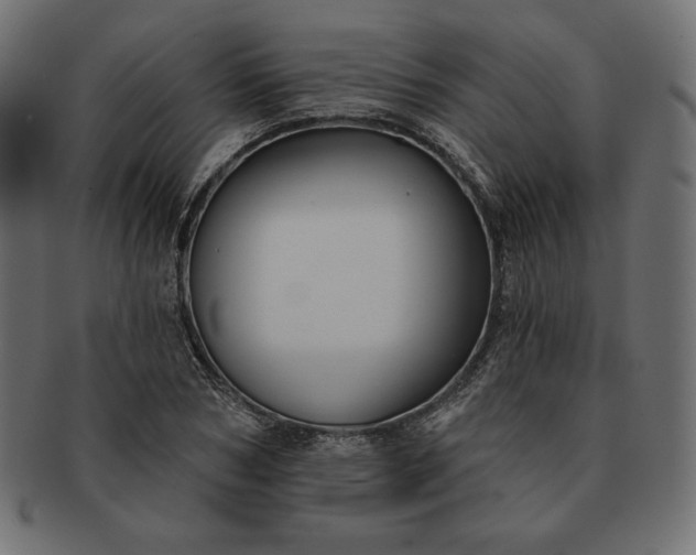 X0000091700978200709071345