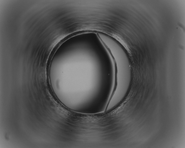 X0000091700980200709071345