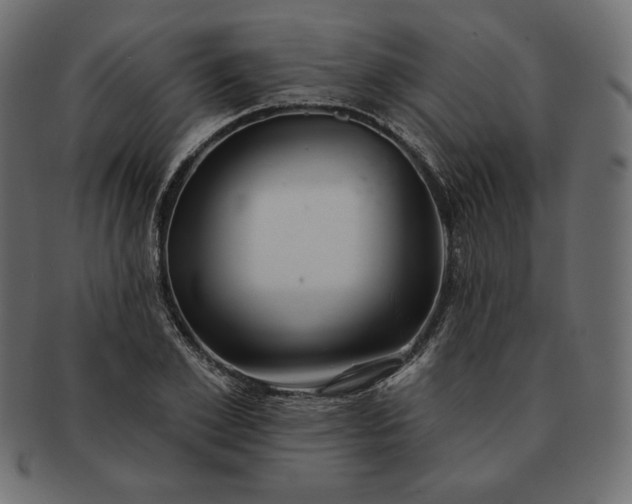 X0000091700981200709071345