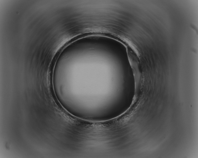 X0000091700983200709071345