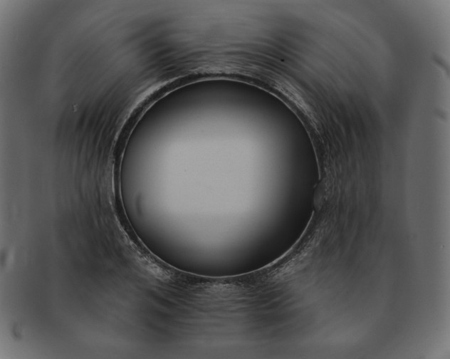 X0000091700984200709071345