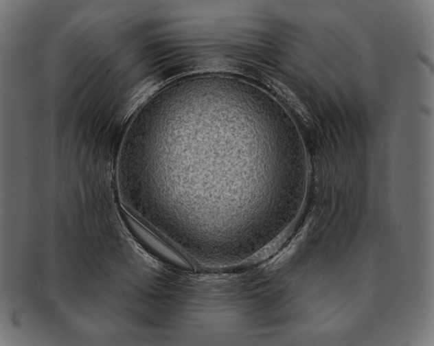 X0000091700985200709071345