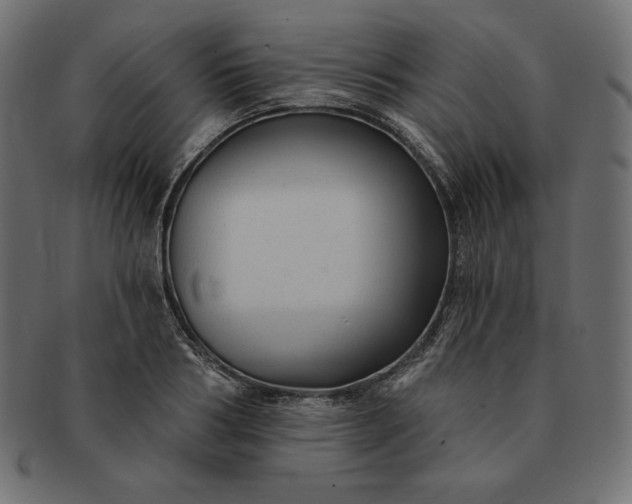 X0000091700986200709071345