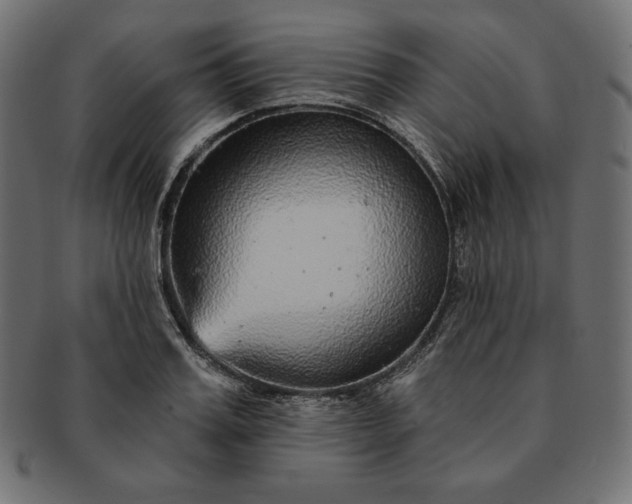 X0000091700987200709071345