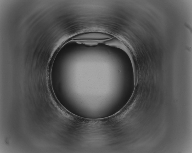 X0000091700989200709071345