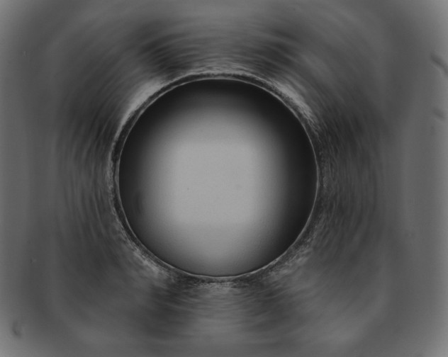 X0000091700990200709071345