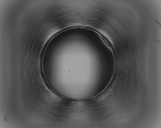 X0000091700991200709071345