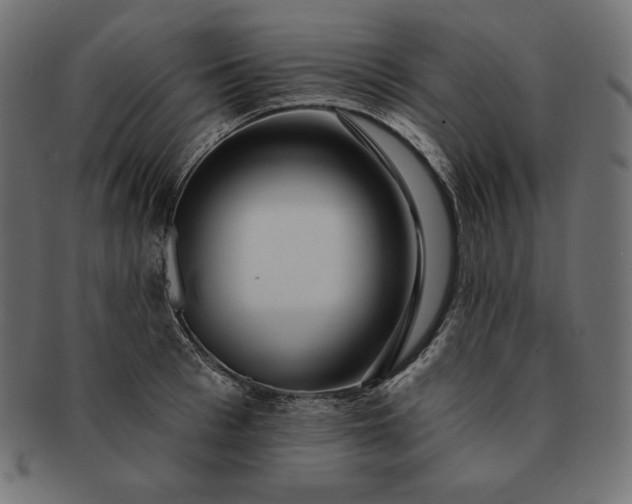 X0000091700993200709071345