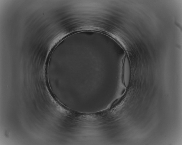 X0000091700995200709071345