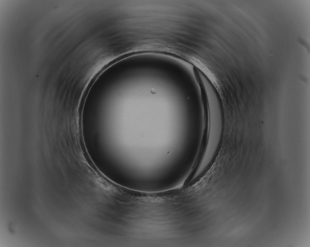 X0000091700996200709071345