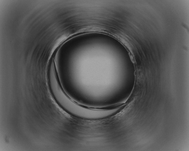 X0000091700997200709071344