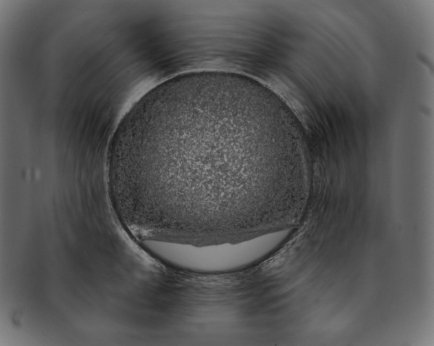 X0000091700998200709071344