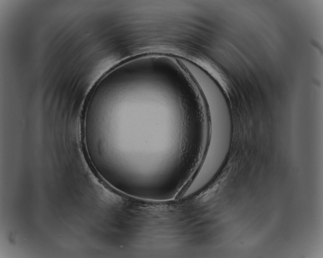 X0000091700999200709071344