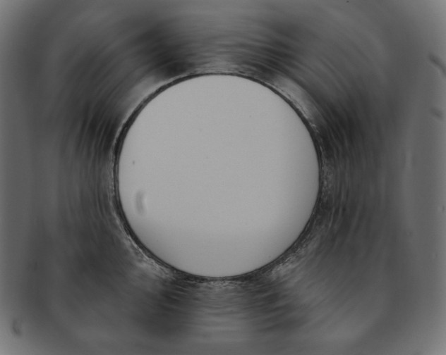 X0000091701000200709071344