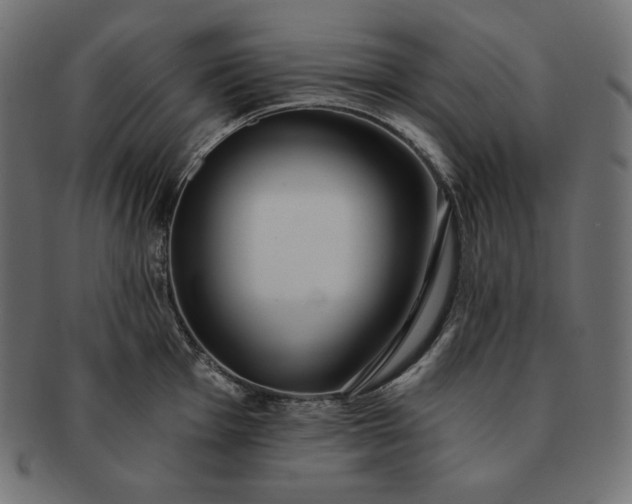 X0000091701001200709071344