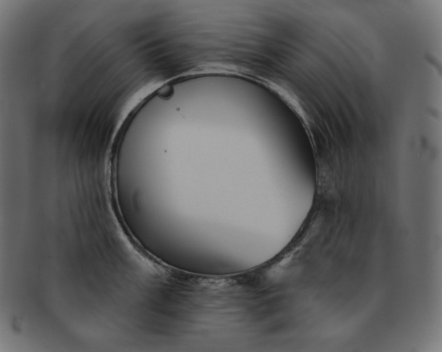 X0000091701003200709071344