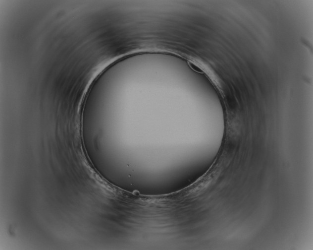 X0000091701004200709071344