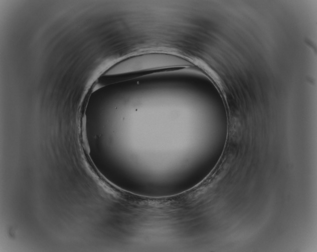 X0000091701005200709071344