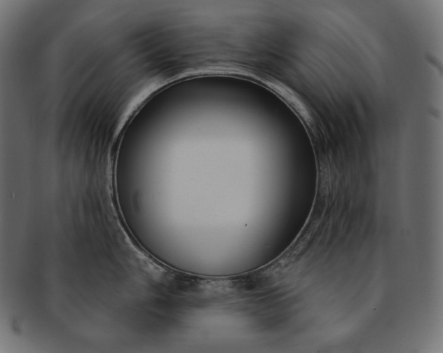 X0000091701006200709071344