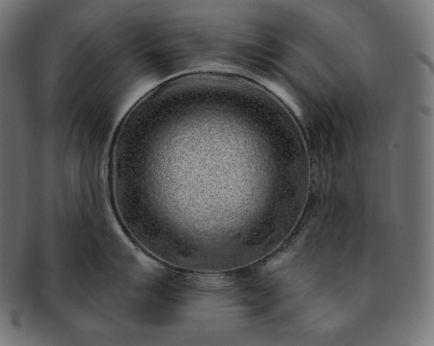 X0000091701007200709071344