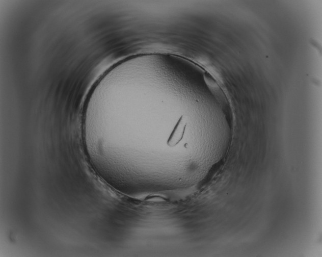 X0000091701008200709071344