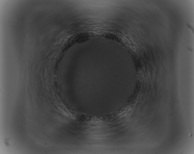 X0000091701009200709071344