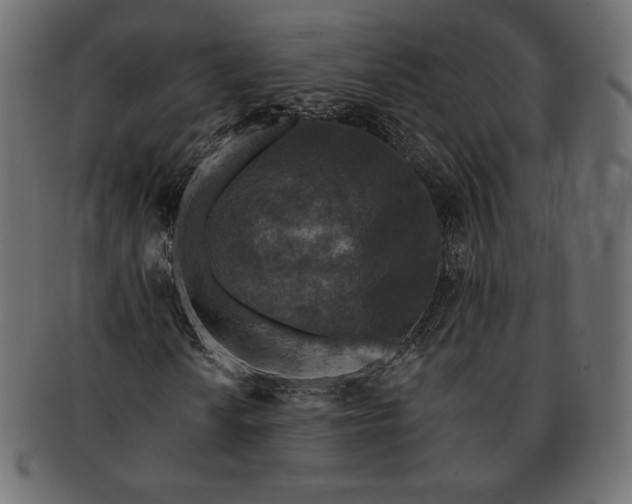 X0000091701010200709071344