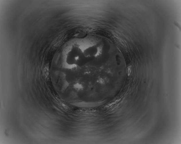 X0000091701011200709071344