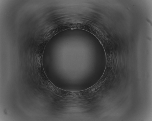 X0000091701013200709071344