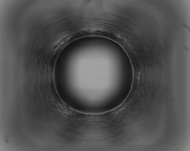 X0000091701014200709071344