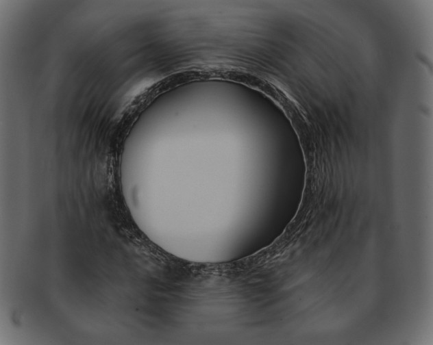 X0000091701016200709071344