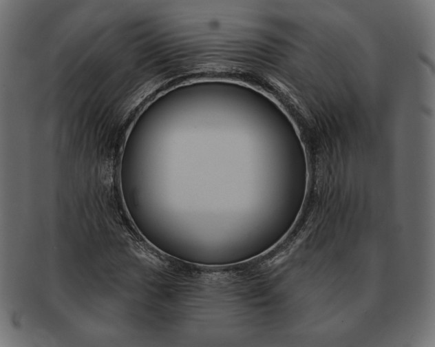 X0000091701017200709071344