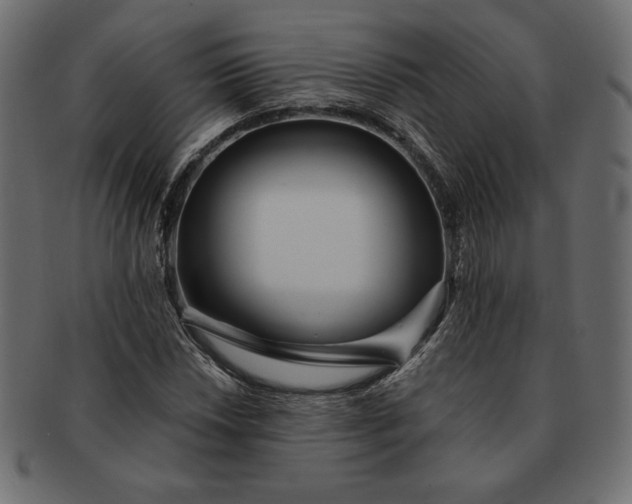 X0000091701018200709071344