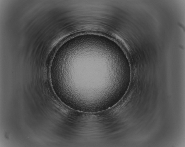 X0000091701019200709071344