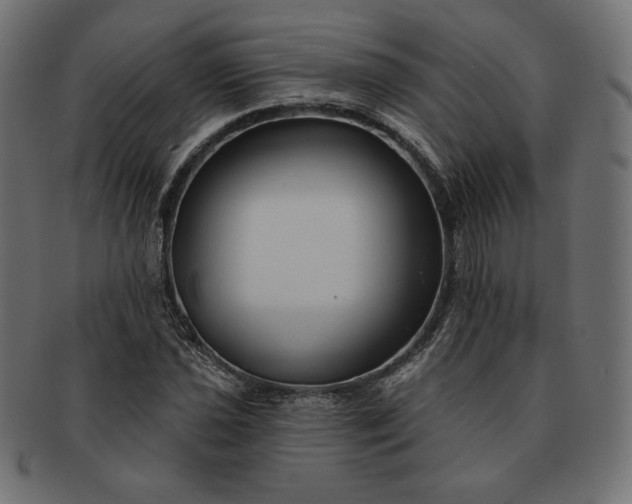 X0000091701021200709071344